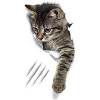 DIY Cat Decals for Home Decoration