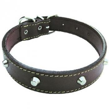 Collare in cuoio per cane 30mm x 55cm