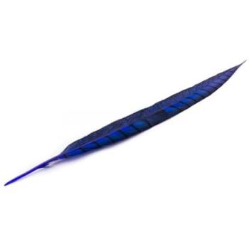 Pluma Faisán Lady Amherst 40-45 Cms - Accesorios de Moda