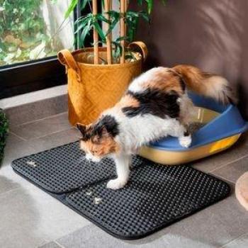 Kattenbakmat Clikatt Innovagoods Zwart 43x60 cm