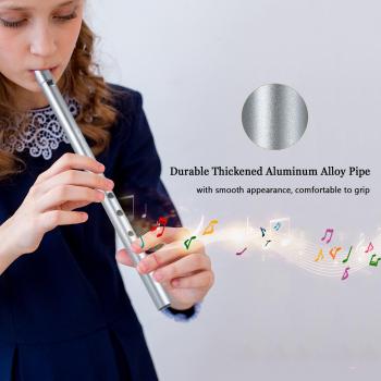 C Key Tin Penny Whistle