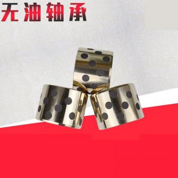 Oil-Free Needle Roller Bearing NK304030 for 3-Ton Forklifts