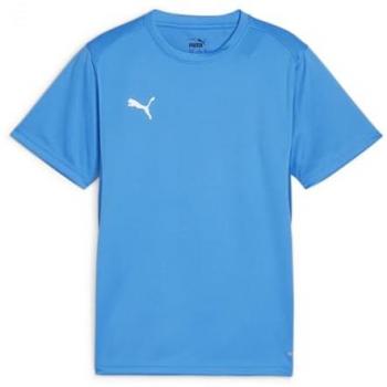 Puma Training Shirt TeamGoal Pomegranate Punch