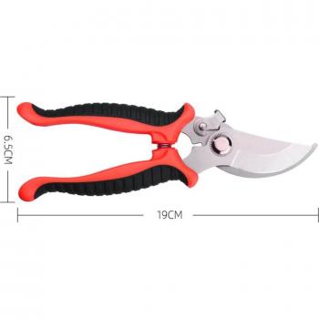 Outils de coupe pour fleurs et plantes