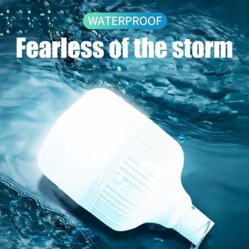 Ampoule LED Rechargeable pour Extérieur - Lumière d'Urgence Portable pour Tente et Patio
