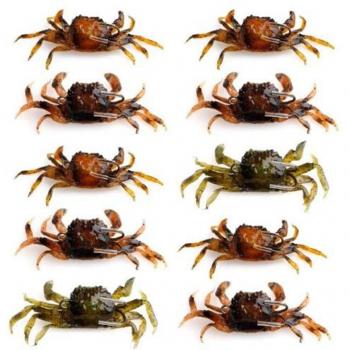 3D Simulation Crab Soft Bait