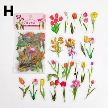40pcs Water-Proof Transparent PET Natural Plant Stickers