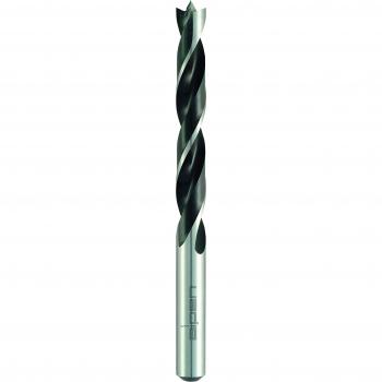 ALPEN - Broca Alpen Madera  9,00 mm. (Blister)