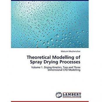 Theoretical Modelling of Spray Drying Processes