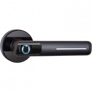 Electronic Fingerprint Door Handle