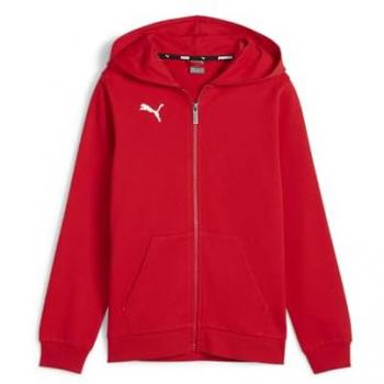 Giacca con Cappuccio Puma TeamGOAL Bambini