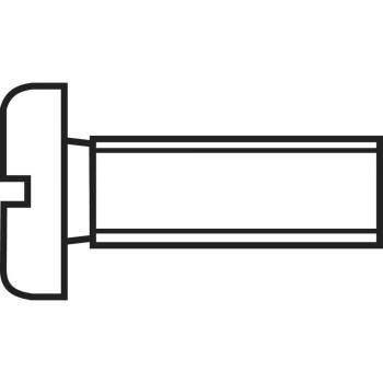 Vite cilindrica M2 30 mm Taglio DIN 84 Acciaio zincato 1 pz