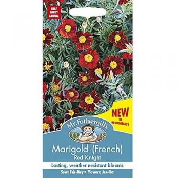 Mr Fothergill's Marigold Flower Seeds Red Knight