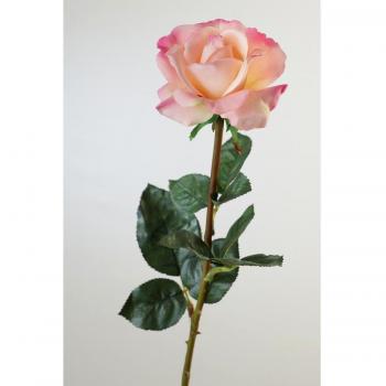 Rose Naturelle Toucher AMELIE
