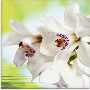 Artland Glasbild »Weiße Blütenpracht«, Orchidee, (1 St.), in verschiedenen Größen