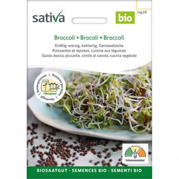 Semi Bio di Broccoli per Germogli Sativa