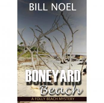 Boneyard Beach: A Folly Beach Mystery (Horizon Cycle, Band 1)