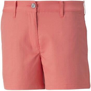 Puma Short 579315-13 Performance Plus