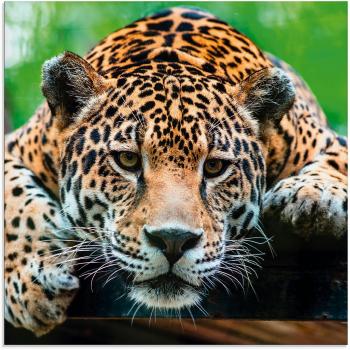 Glasbild „Südamerikanischer Jaguar“ – ARTLAND