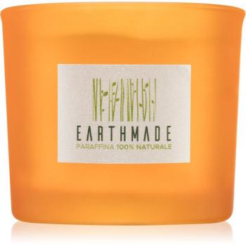 Candela Profumata Respiro D'Aria 180 g