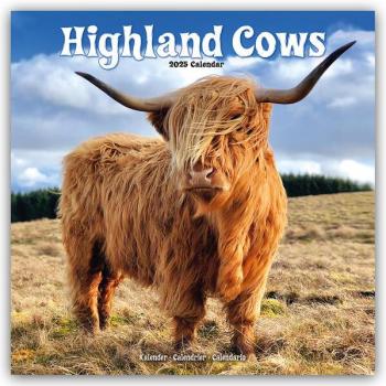 Higland Cows - Hochland Rinder 2025 - 16-Monatskalender