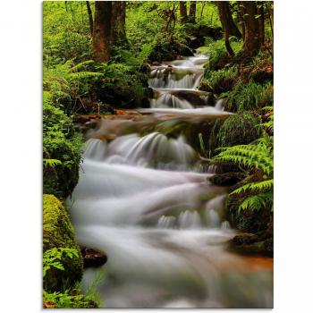 Glasbild „Schwarzwaldbach“ von Artland – Wasserlandschaft in Grün