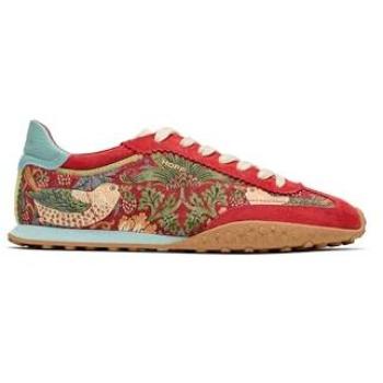 Hoff Bridge Morris 2 Women's Trainers