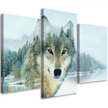 Canvas Lupo Blu Natura 3 Pezzi 60x40