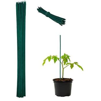 Vegetable Support Bundle – 60 cm Bamboo Stakes (×100) + Wire