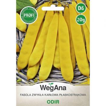 Fagioli Nani Regolari Odir – 20 g di Semi
