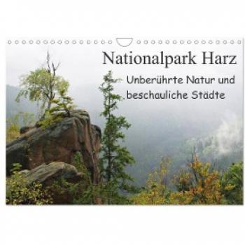 Nationalpark Harz Unberührte Natur und beschauliche Städte (Wandkalender 2024 DIN A4 quer) CALVENDO Monatskalender