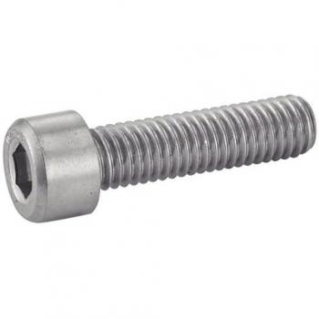 Vite a brugola cilindrica in acciaio inossidabile A4 6x20 mm (200 unità)