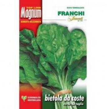 Semi di Bietola da Coste Verde Franchi - Sementi per Orto Peragashop