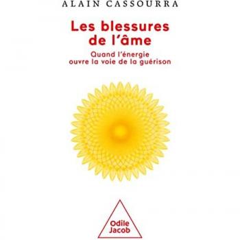 Les Blessures de l'âme: Quand l'énergie ouvre la voie de la guérison
