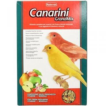 Padovan Grandmix per Canarini da 1 Kg