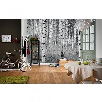 Komar Birch Forest Large Wall Art 98 x 145