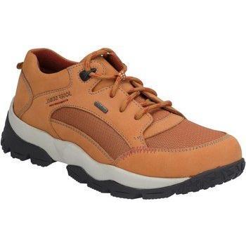 Basse Ville Josef Seibel Philippa 53