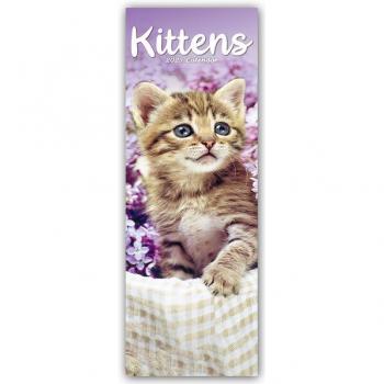 Kittens Slim Calendar 2025