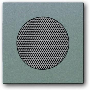 Busch-Jaeger Central Cover Plate for EB Speakers - Model 8253-803