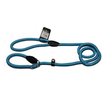 Chadog Laisse-Lasso Reflet Run Around Turquoise T3