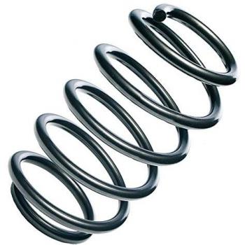 Suspensión EIBACH R10092