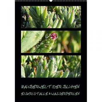 ZAUBERWELT DER BLUMEN - EISKRISTALLE & WASSERPERLEN