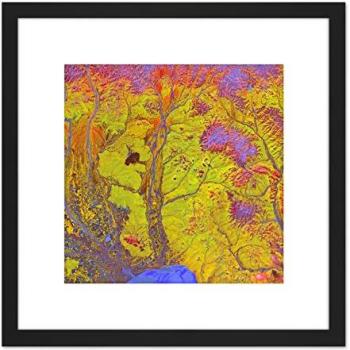 Vivid Fungus Fantasy: Bright Swirls 8x8 Wall Print with Mount