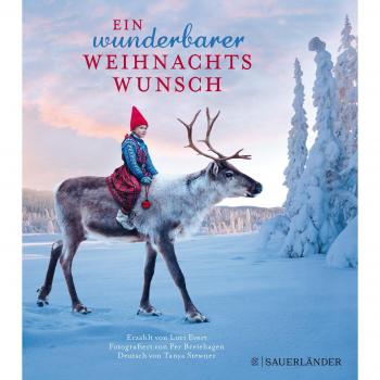 Ein wunderbarer Weihnachtswunsch Mini