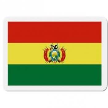 10 cm Bolivia Flag Magnetic Decals – 50 Pack – Mixed Color Resin