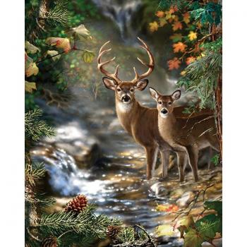 Rhinestone River Deer 5D Painting Kit – 20x30 cm