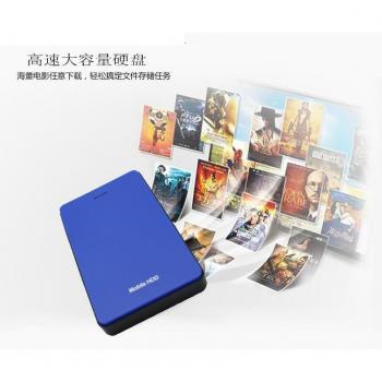 Manyuedun External Hard Drive 60GB High Speed
