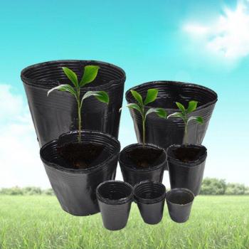 Tazón Plantador Eco Negro