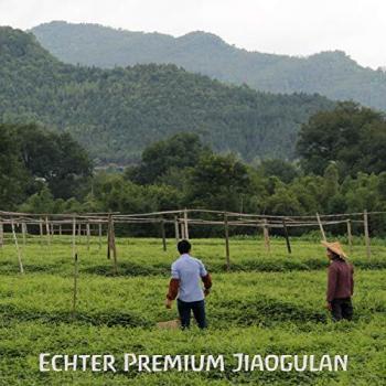 Tausendkraut Premium Jiaogulan - 100g