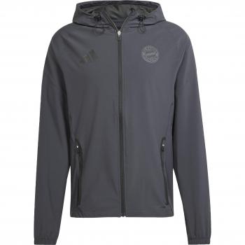 FC Bayern Tiro Kapuzenpullover 2024/25